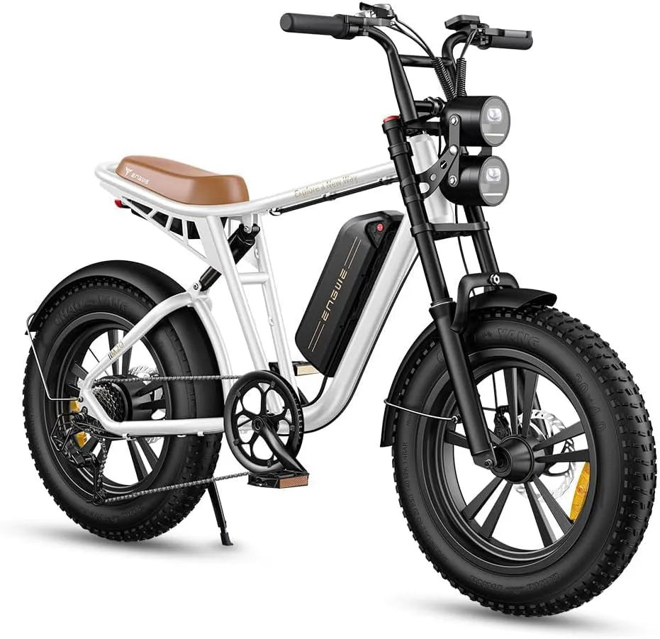 Vélo électrique M20/M1, 2 Batteries, Ebike Hommes jusqu'à 75km, 90km, 7 niveaux de vitesse, 7 niveaux de vitesse, E-Bike 20 * 4.0 Pouces Pneus Gras